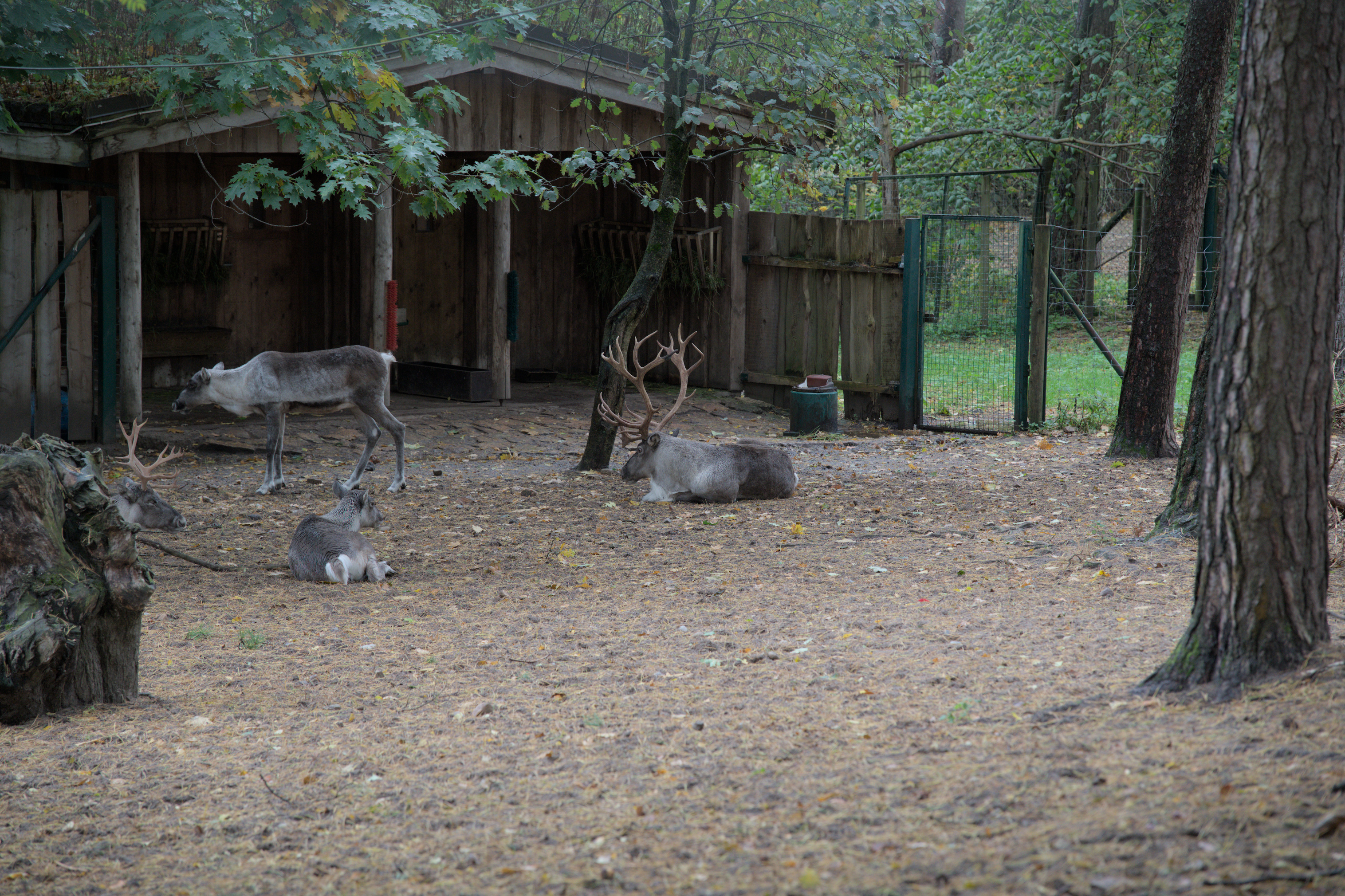 2025/10/12 - zoo/DSC_0062.jpg